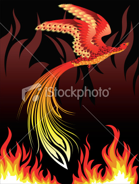 vector fire bird phoenix on the flame background
