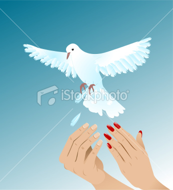 Hands of woman and man setting free white peigeon. Background, hands and dove are on the separate layers