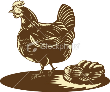 vector illustration of a Free range chicken or hen with nest egg done in retro woodcut style. If you want more images, click the link... [url=http://www.istockphoto.com/file_search.php?action=file&lightboxID=4252403] [img]http://i280.photobucket.com/