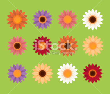 Colorful daisies in orange, purple, pink, white, and yellow! A large-scaled JPG is included. See related collections: [url=http://www.istockphoto.com/my_lightbox_contents.php?lightboxID=957640&amp;refnum=ceneri][img]http://www.eneri.net/istockphoto/ba