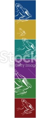 Vector file of frogs.