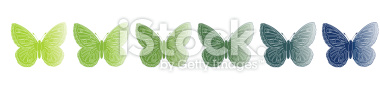 vector file of a butterfly (butterflies)
