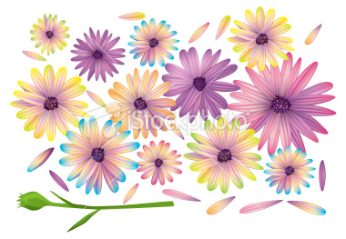 Colorful Daisies. Gradient mesh used on flowers. See my other work. [url=http://www.istockphoto.com/file_search.php?action=file&lightboxID=9211003][img]http://gohlikim.com/is/patterns.jpg[/img][/url][url=http://www.istockphoto.com/file_search.php?act