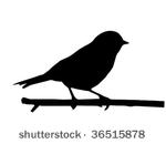 vector silhouette of the small...