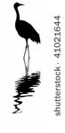 vector illustration of the...