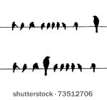 vector silhouettes of the birds ...