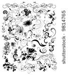 set of floral elements vector