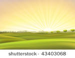 evening summer pastoral scenery ...
