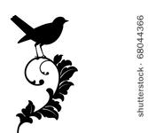 black bird  bird and plant...