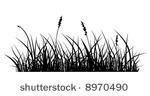 vector silhouette of grass on...