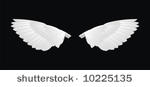 two white vector wings on black ...