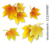 fall background
