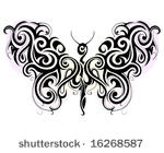 butterfly vector illustration