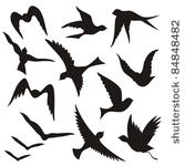 a set of flying birds...