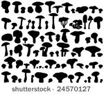 big collection of different...