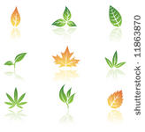 logo like leaves isolated on a...