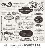 vector set  calligraphic design ...