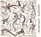 floral design elements