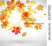 abstract fly leafs vector...