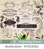 vector set  calligraphic...