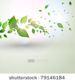 fresh green leaves and sun...