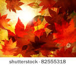 beautiful autumn background for ...