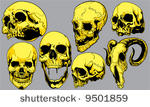 skulls vector set