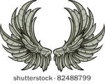 vector wings