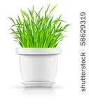 white flowerpot with green grass