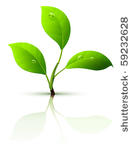 branch of sprout with green...