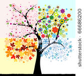 four season tree