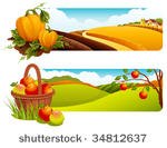 vector illustration   autumn...