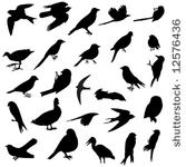 26 silhouettes of several birds ...