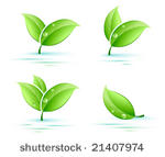 set of leaves