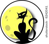 cat at the moon