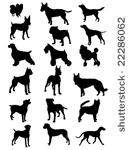collection of dogs vector...