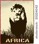 africa image with lion...
