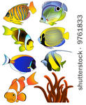 exotic fish  vector...