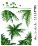 tropical leaf set  vector...