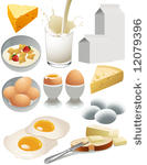 dairy products  vector...