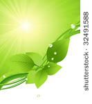 beautiful green leaf background ...