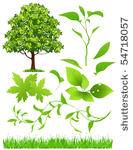 leaf collection  vector...