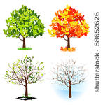 four season trees  vector...