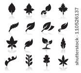 leaf icon