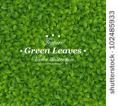 green leaves texture. vector...
