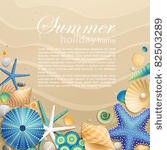 shells and starfishes on sand...
