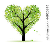 valentine tree  love  leaf from ...