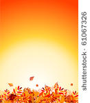 autumn leaves background for...