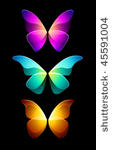 vector colorful butterflies