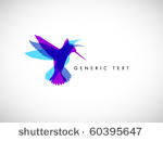 vector abstract colibri...